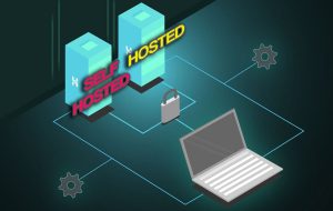 hosted vs self hosted e-commerce platforms two server options